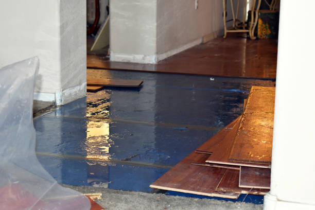 Professional Flood Cleanup technician working in Luther, MI